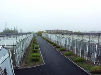 玻璃温室大棚