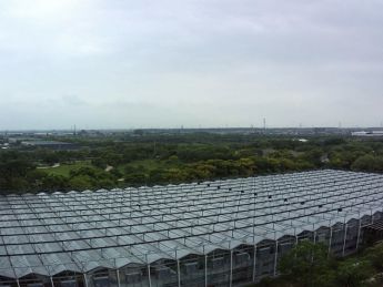 玻璃温室大棚