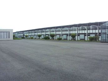 玻璃温室大棚