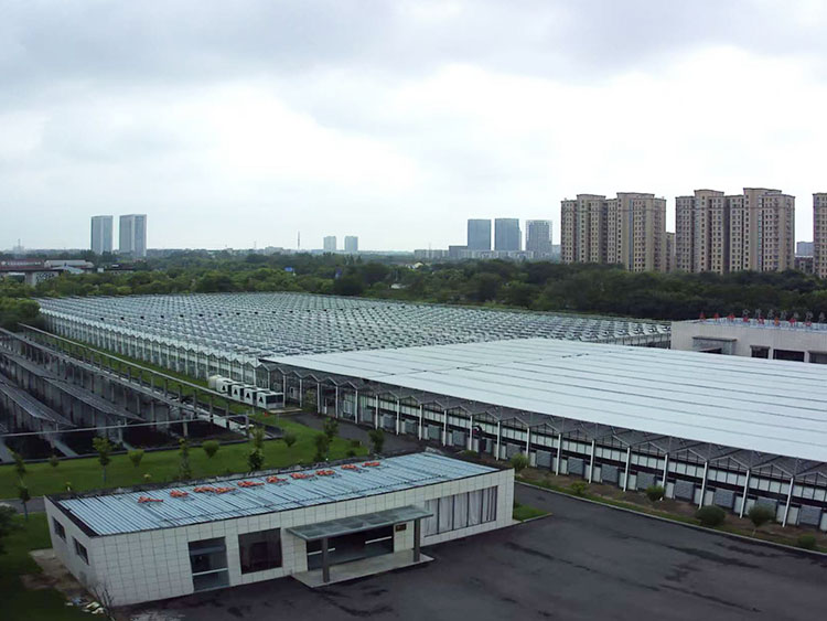 玻璃温室大棚