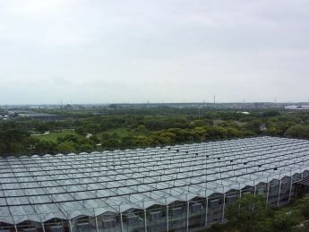 玻璃温室大棚