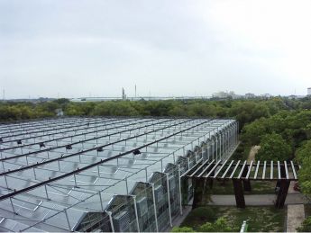 玻璃温室大棚