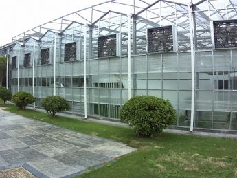 玻璃温室大棚